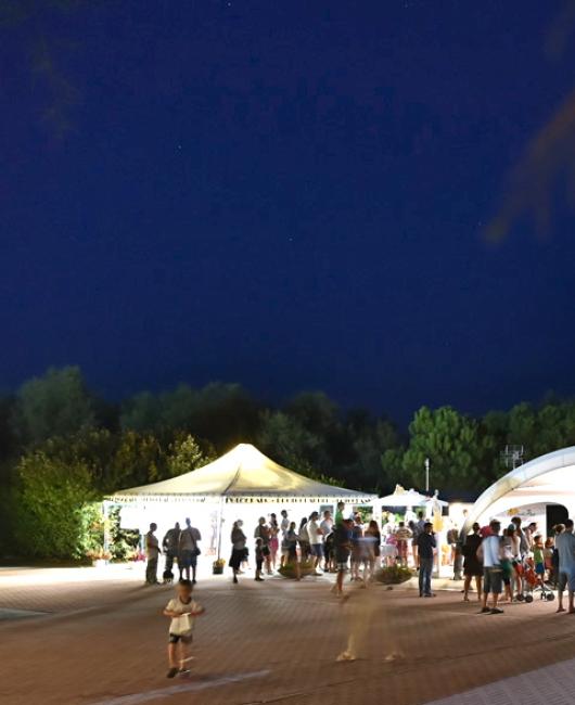 EXCITING SHOWS FOR THE MAGICAL NIGHTS OF ISAMAR 2018!